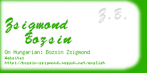 zsigmond bozsin business card